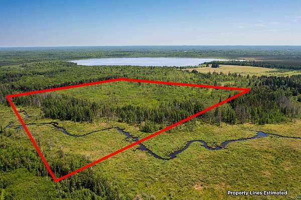 40 Acres of Recreational Land for Sale in Alborn, Minnesota