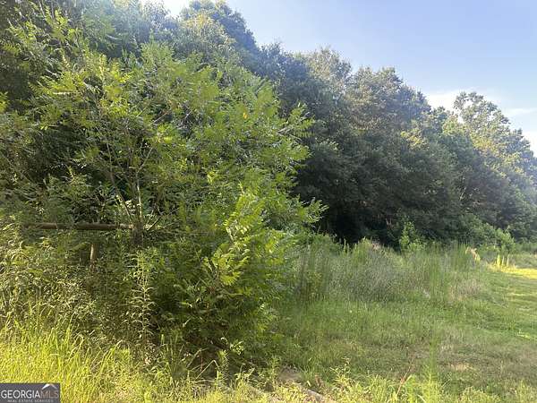 13.3 Acres of Land for Sale in Commerce, Georgia