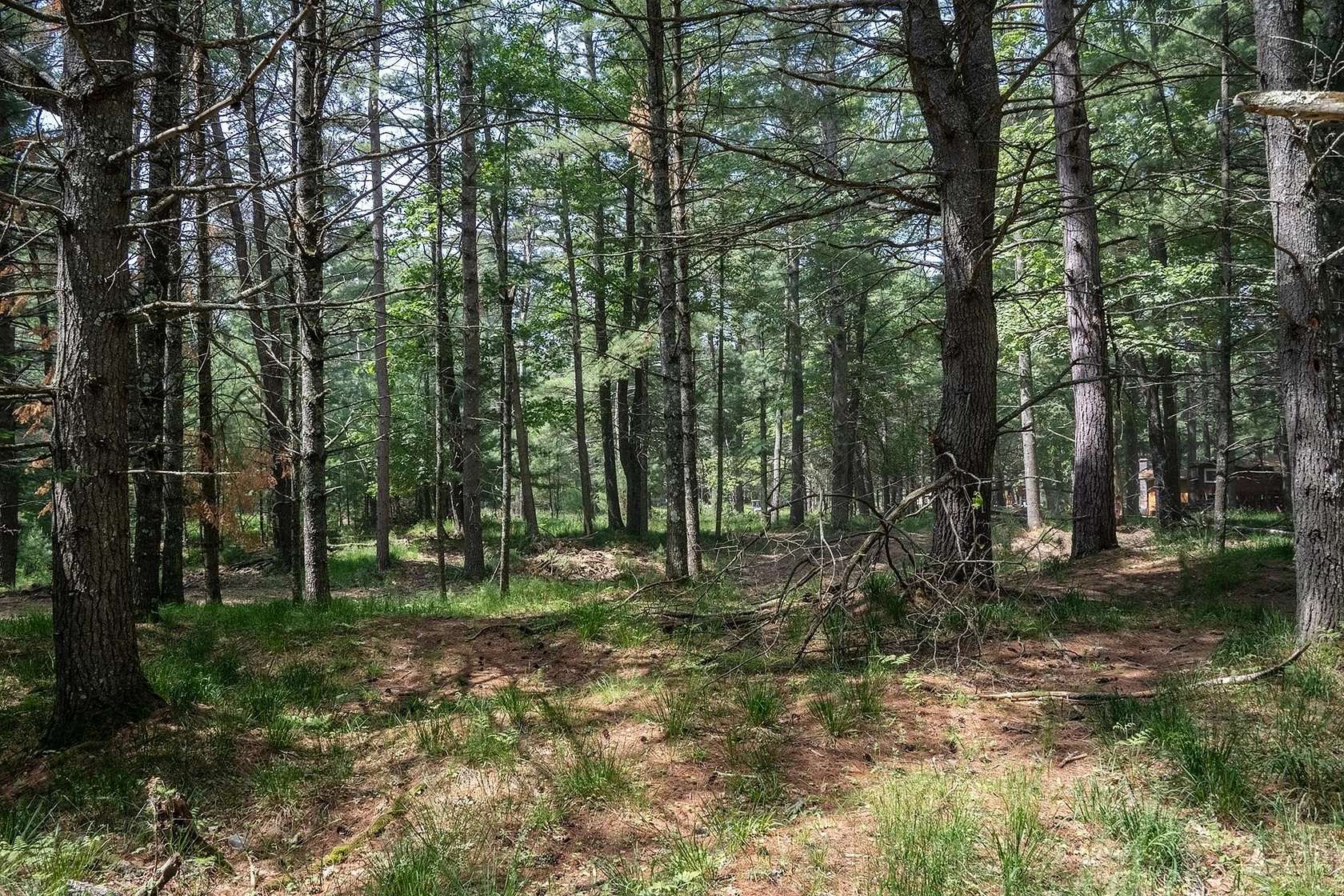 0.34 Acres of Land for Sale in Saint Germain, Wisconsin