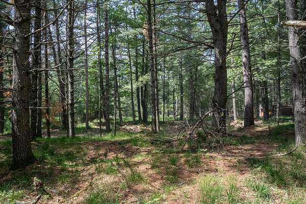 0.34 Acres of Land for Sale in Saint Germain, Wisconsin