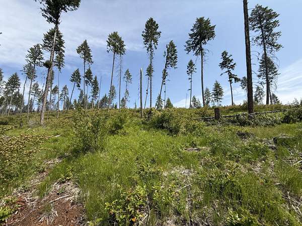 20 Acres of Recreational Land for Sale in Curlew, Washington