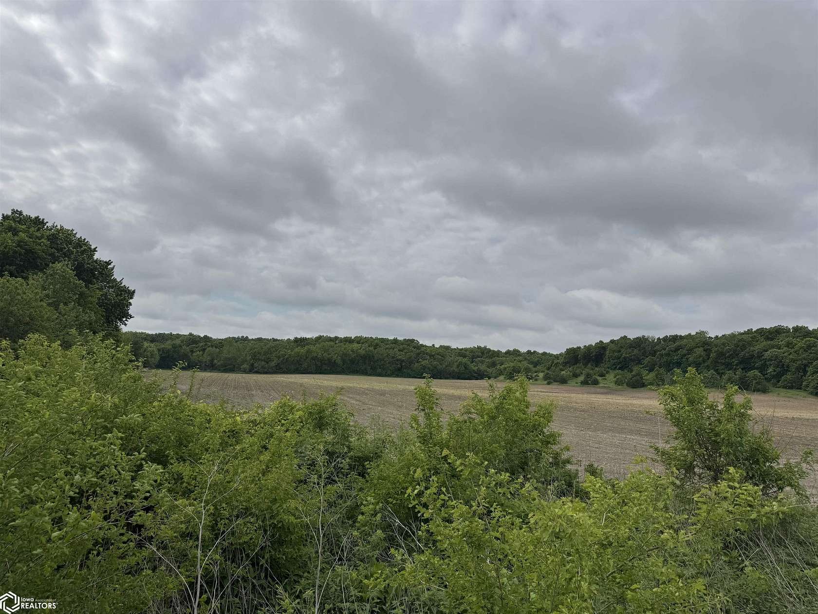 35 Acres of Recreational Land & Farm for Sale in Grand River, Iowa