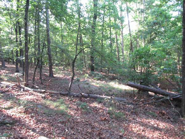 3.2 Acres of Residential Land for Sale in Sunset, South Carolina