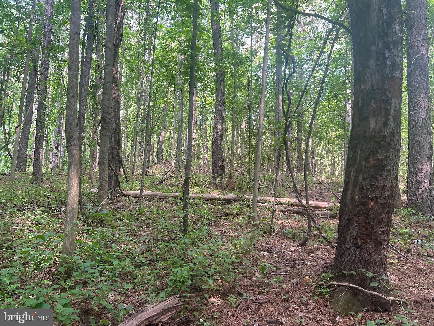 7.46 Acres of Residential Land for Sale in Sperryville, Virginia