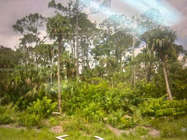 0.22 Acres of Residential Land for Sale in Lehigh Acres, Florida