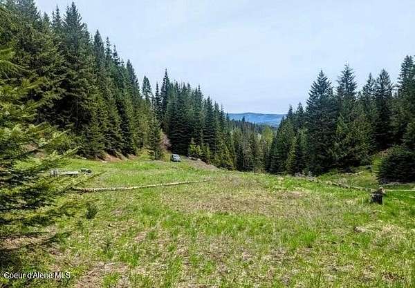 20 Acres of Recreational Land for Sale in St. Maries, Idaho