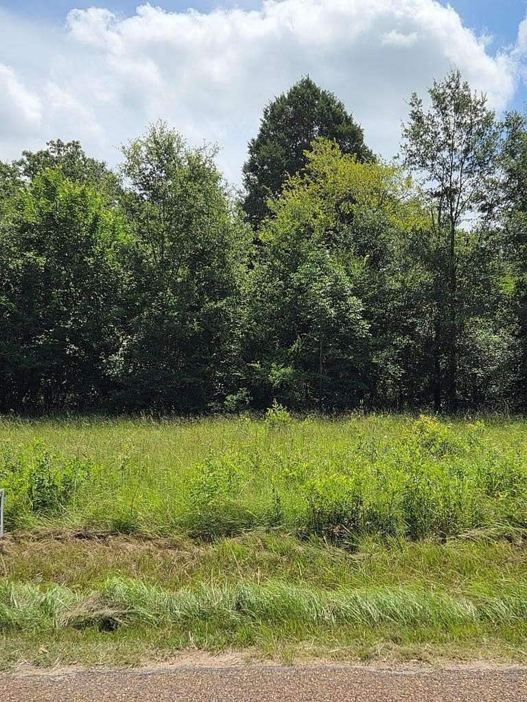 0.11 Acres of Residential Land for Sale in Mabank, Texas