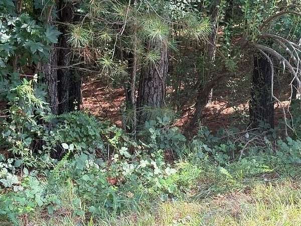 2.16 Acres of Residential Land for Sale in Greenville, Georgia