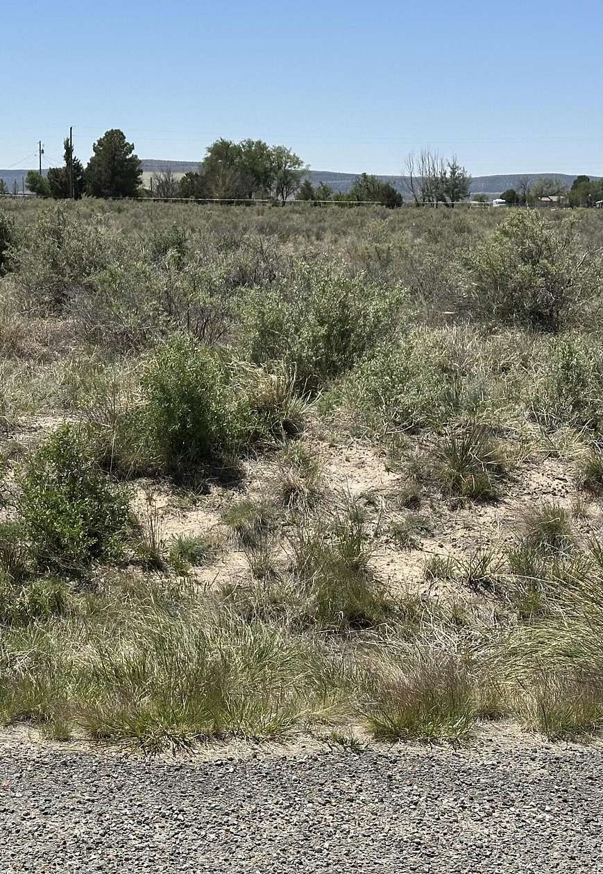 0.25 Acres of Land for Sale in Willard, New Mexico