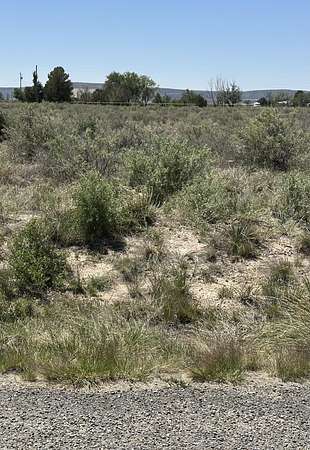 0.25 Acres of Land for Sale in Willard, New Mexico