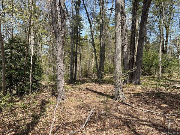 2.45 Acres of Residential Land for Sale in Muttontown, New York