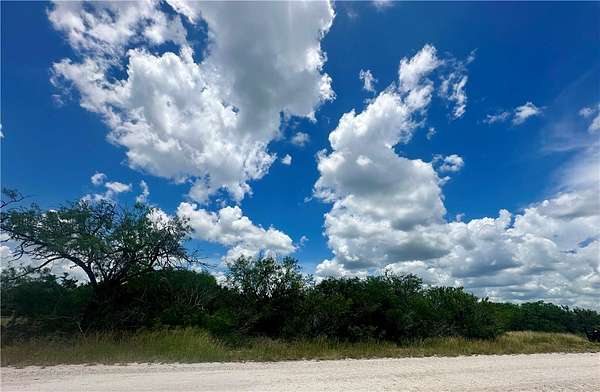 1 Acre of Land for Sale in Orange Grove, Texas