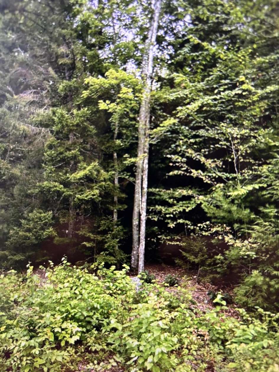 1.1 Acres of Residential Land for Sale in Sullivan, Maine