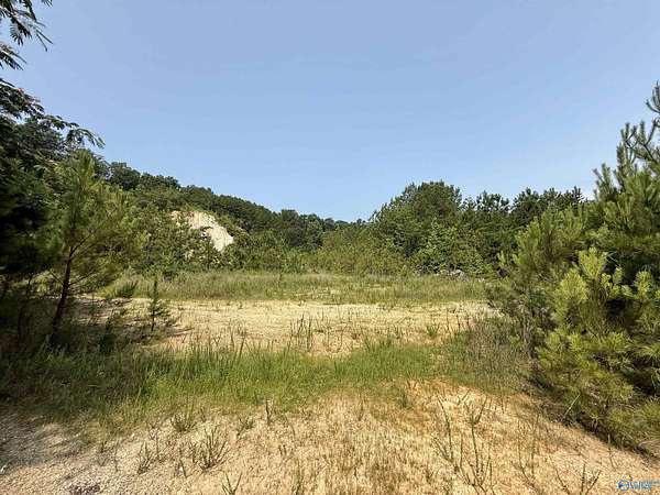 13.5 Acres of Land for Sale in Gadsden, Alabama