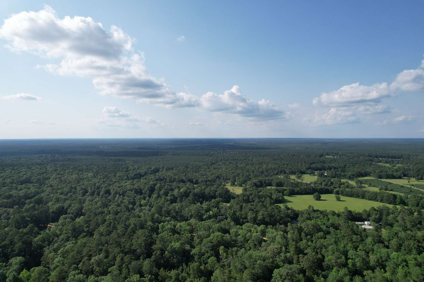 0.29 Acres of Residential Land for Sale in Livingston, Texas