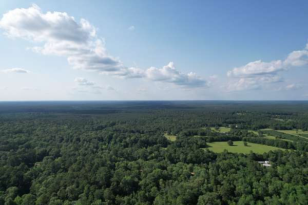 0.29 Acres of Residential Land for Sale in Livingston, Texas