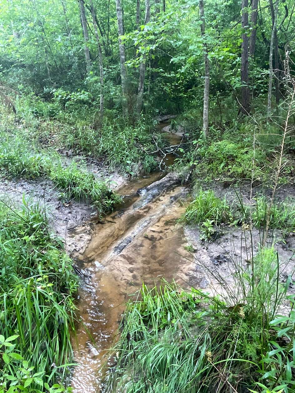 54.6 Acres of Recreational Land for Sale in Atlanta, Texas