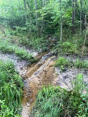 54.6 Acres of Recreational Land for Sale in Atlanta, Texas