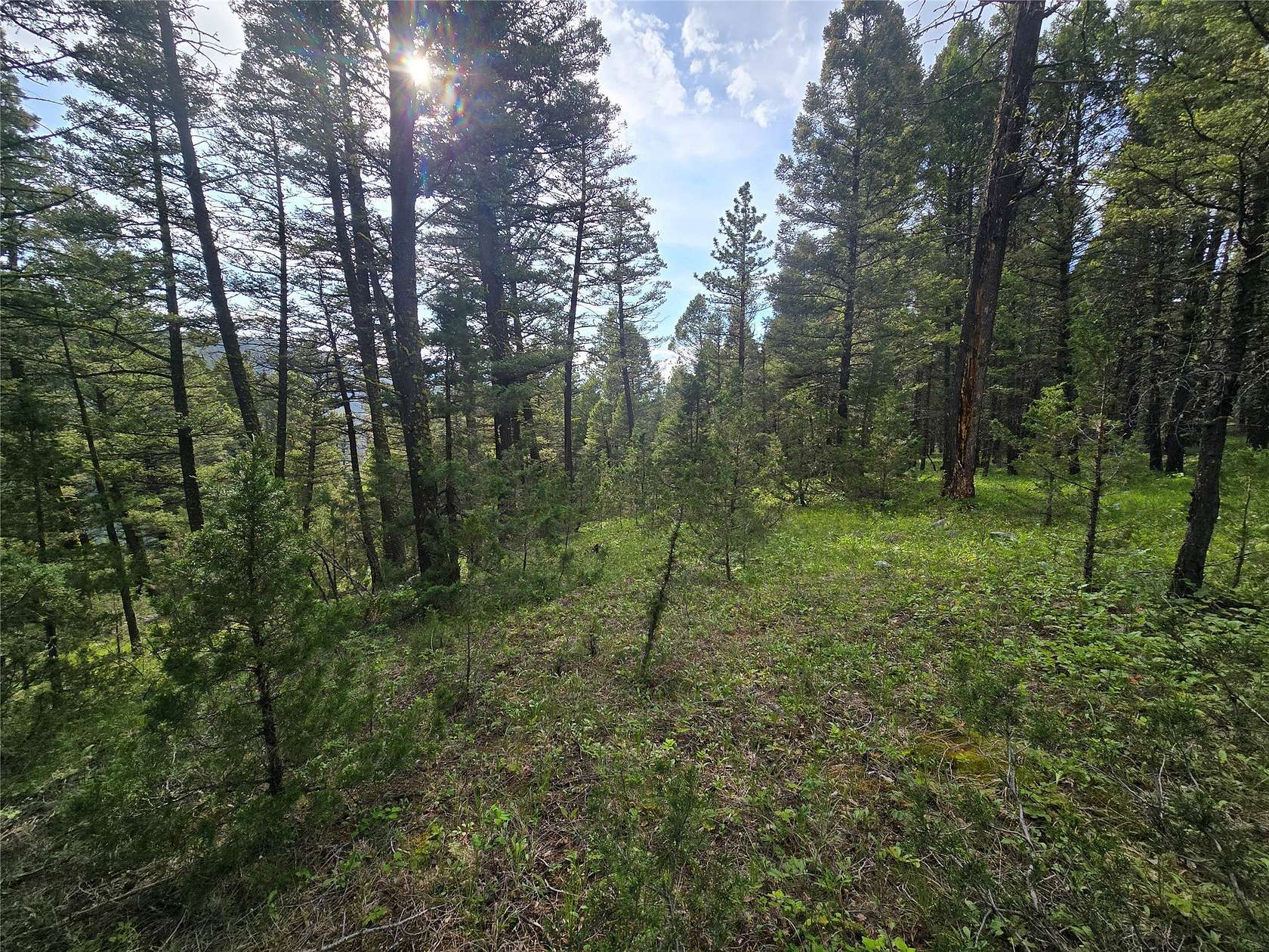 15.6 Acres of Recreational Land for Sale in Philipsburg, Montana