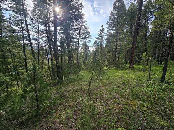 15.6 Acres of Recreational Land for Sale in Philipsburg, Montana
