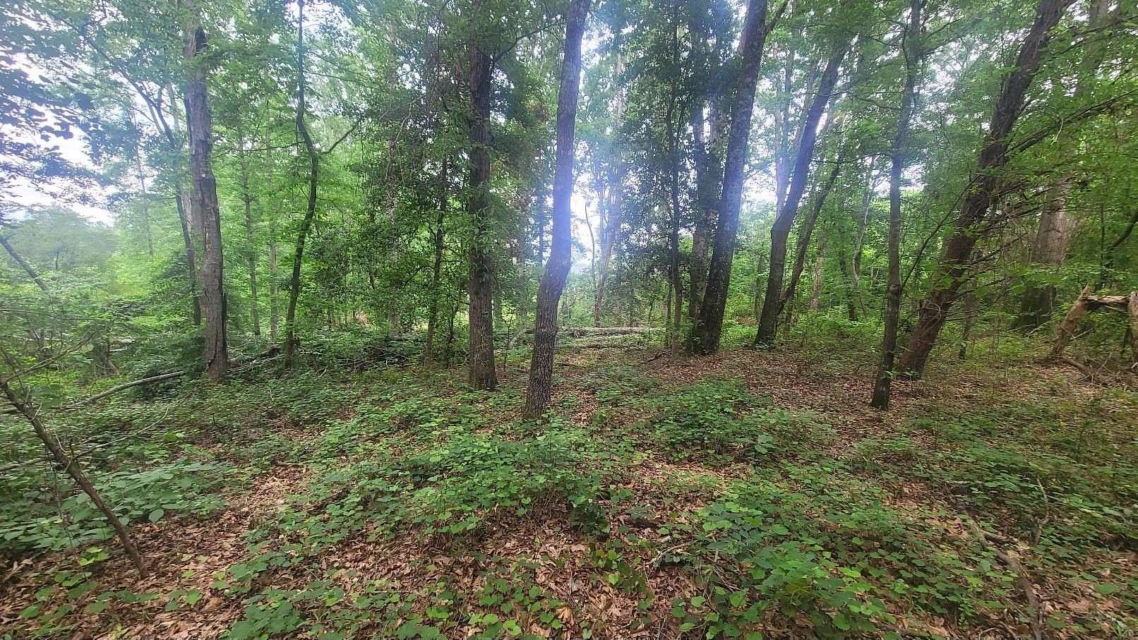 3.5 Acres of Land for Sale in Chesnee, South Carolina