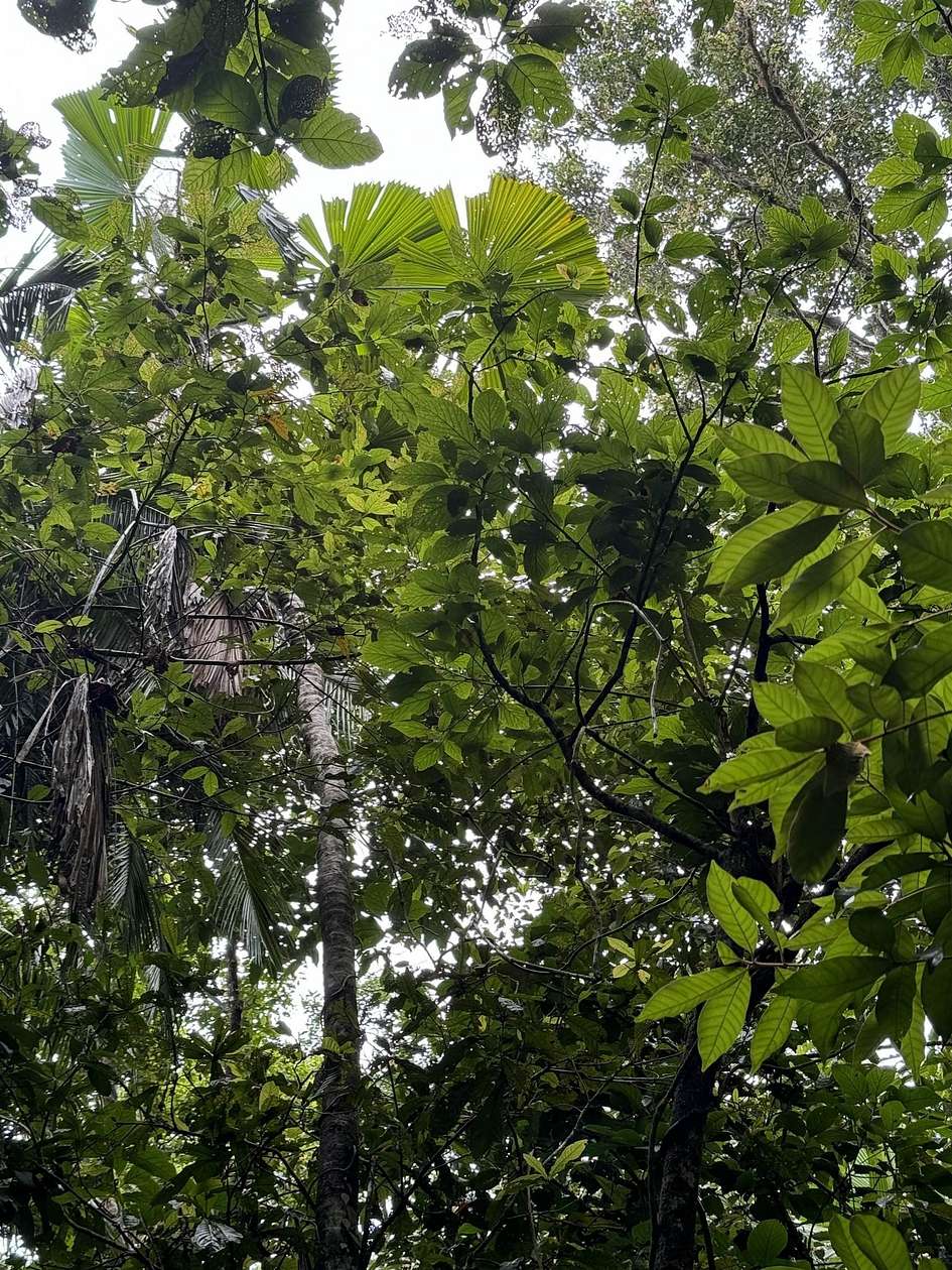 0.28 Acres of Residential Land for Sale in Savannah, Tennessee