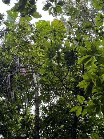 0.28 Acres of Residential Land for Sale in Savannah, Tennessee