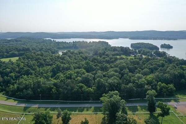 7.53 Acres of Residential Land for Sale in Rockwood, Tennessee