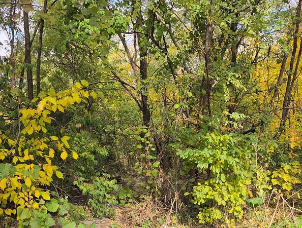 0.57 Acres of Residential Land for Sale in Joliet, Illinois