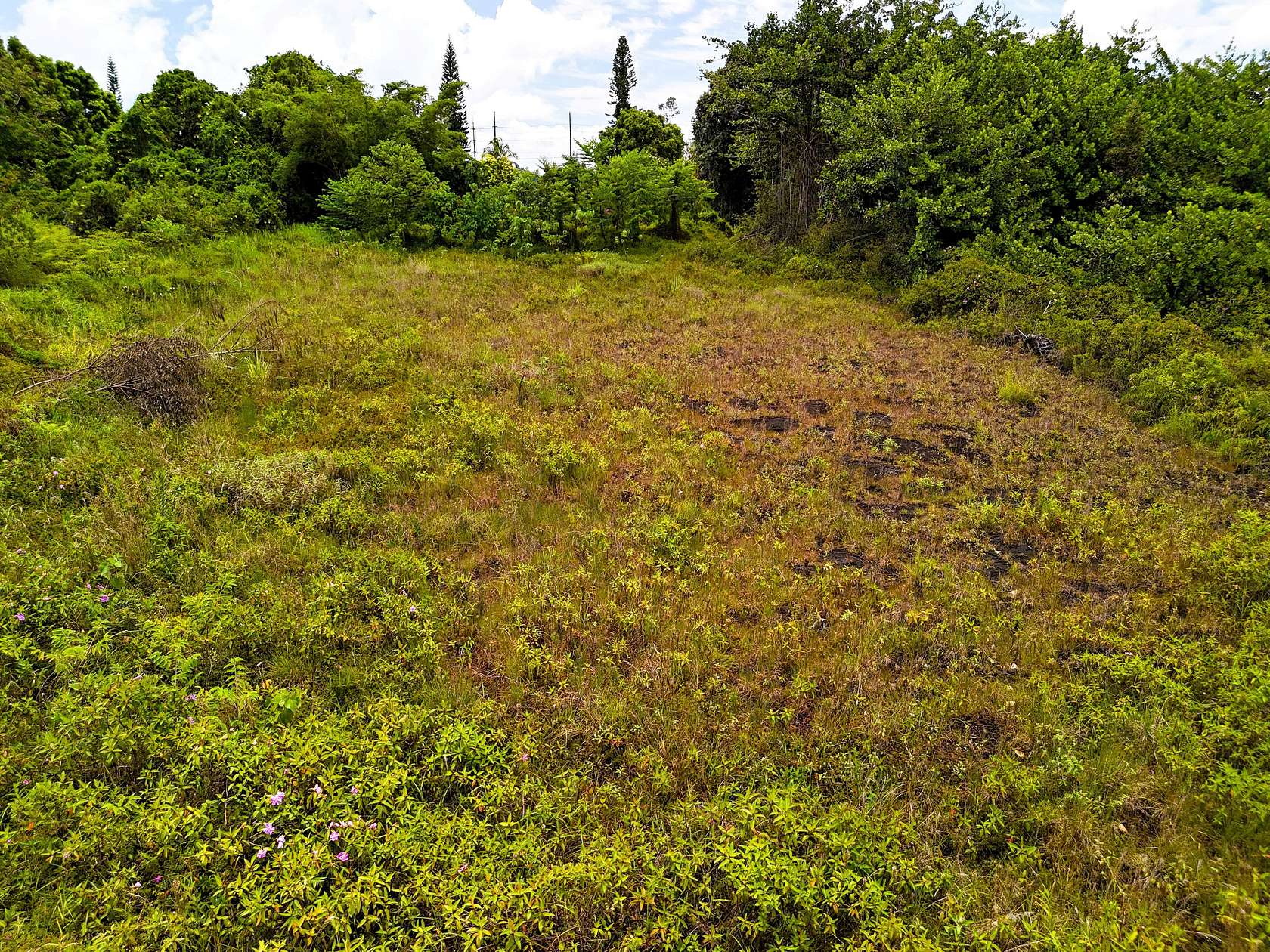 1 Acre of Residential Land for Sale in Keaau, Hawaii