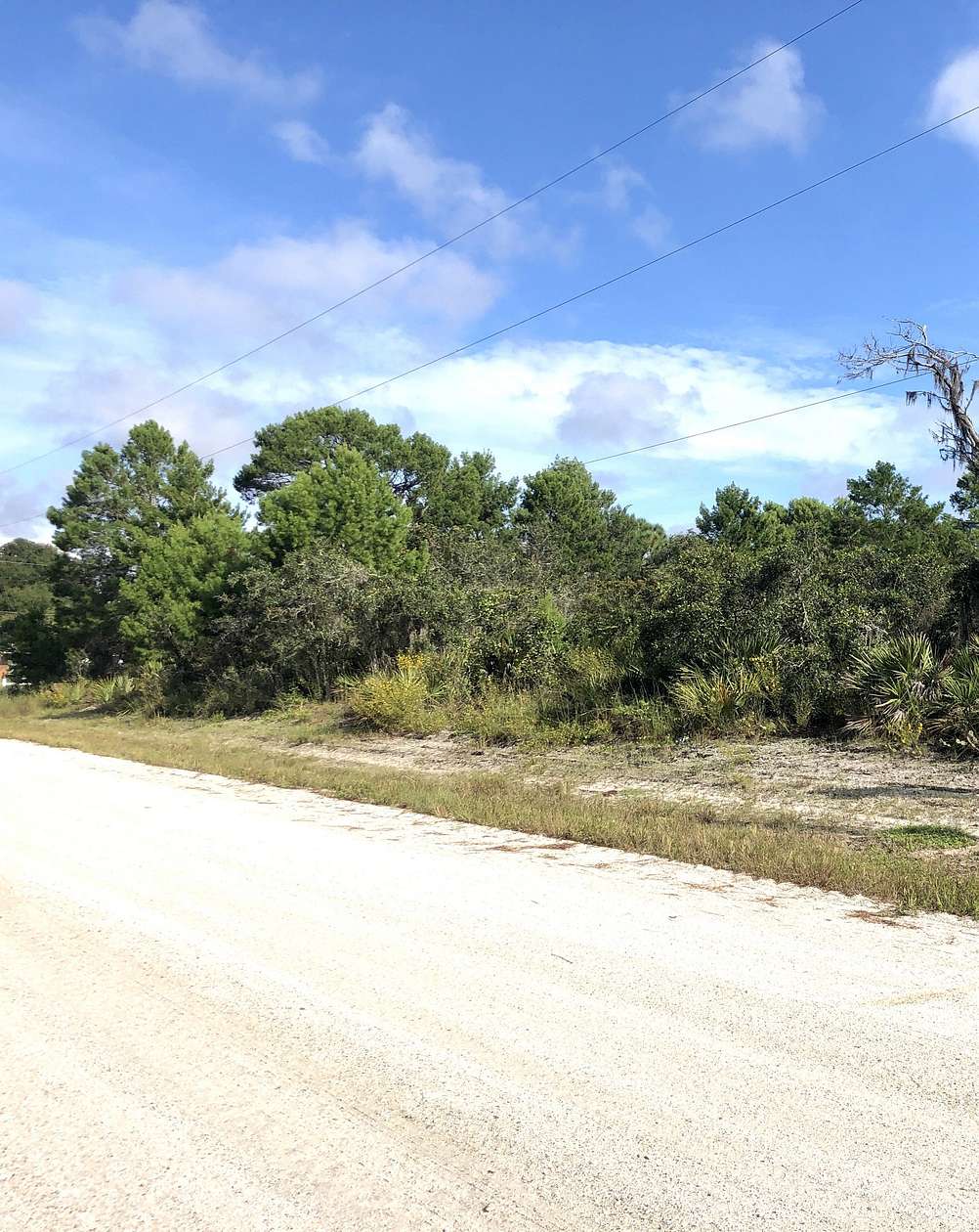 0.52 Acres of Residential Land for Sale in Lake Placid, Florida
