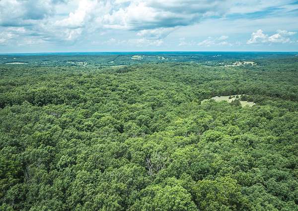 20 Acres of Recreational Land for Sale in Richland, Missouri