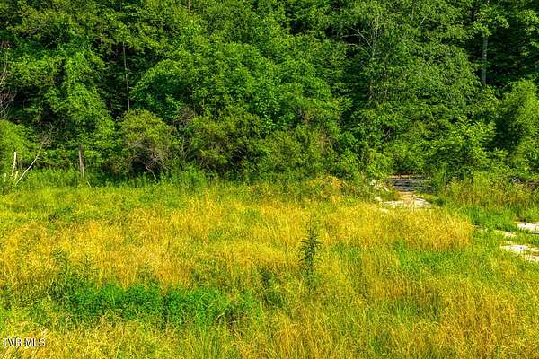 15 Acres of Recreational Land for Sale in Rogersville, Tennessee