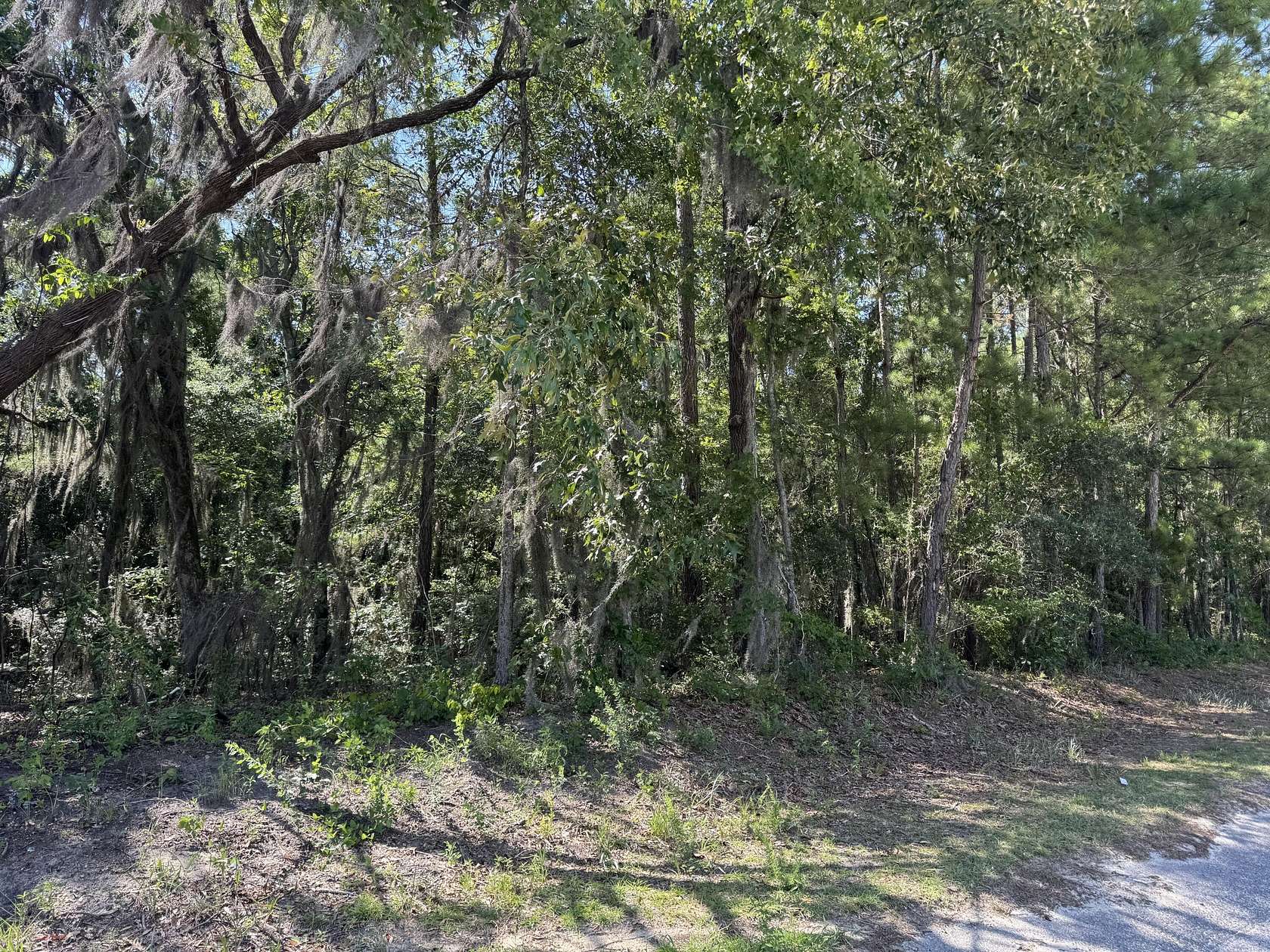 1.1 Acres of Residential Land for Sale in Eutawville, South Carolina