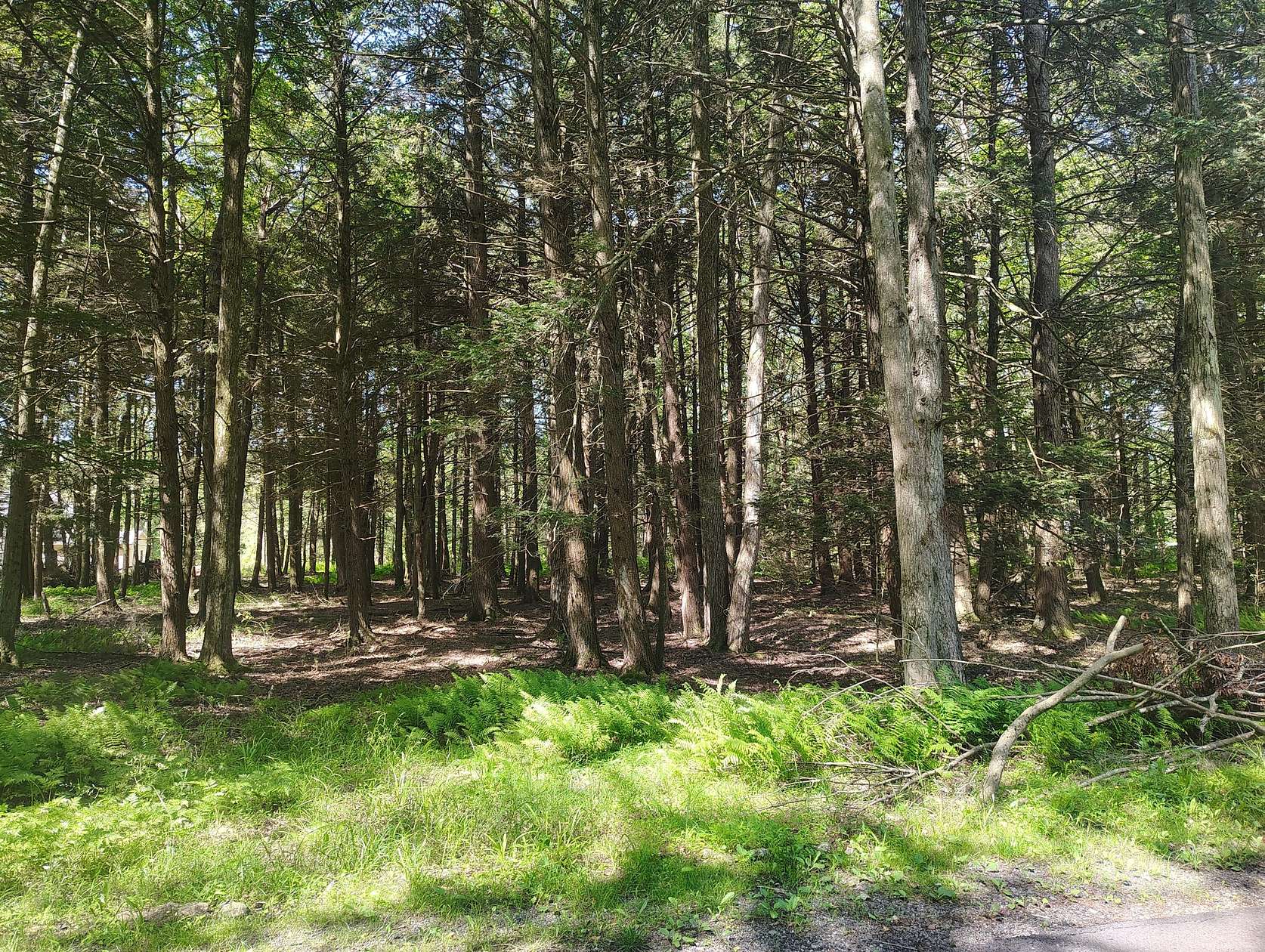 0.45 Acres of Residential Land for Sale in Pocono Lake, Pennsylvania