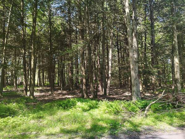 0.45 Acres of Residential Land for Sale in Pocono Lake, Pennsylvania