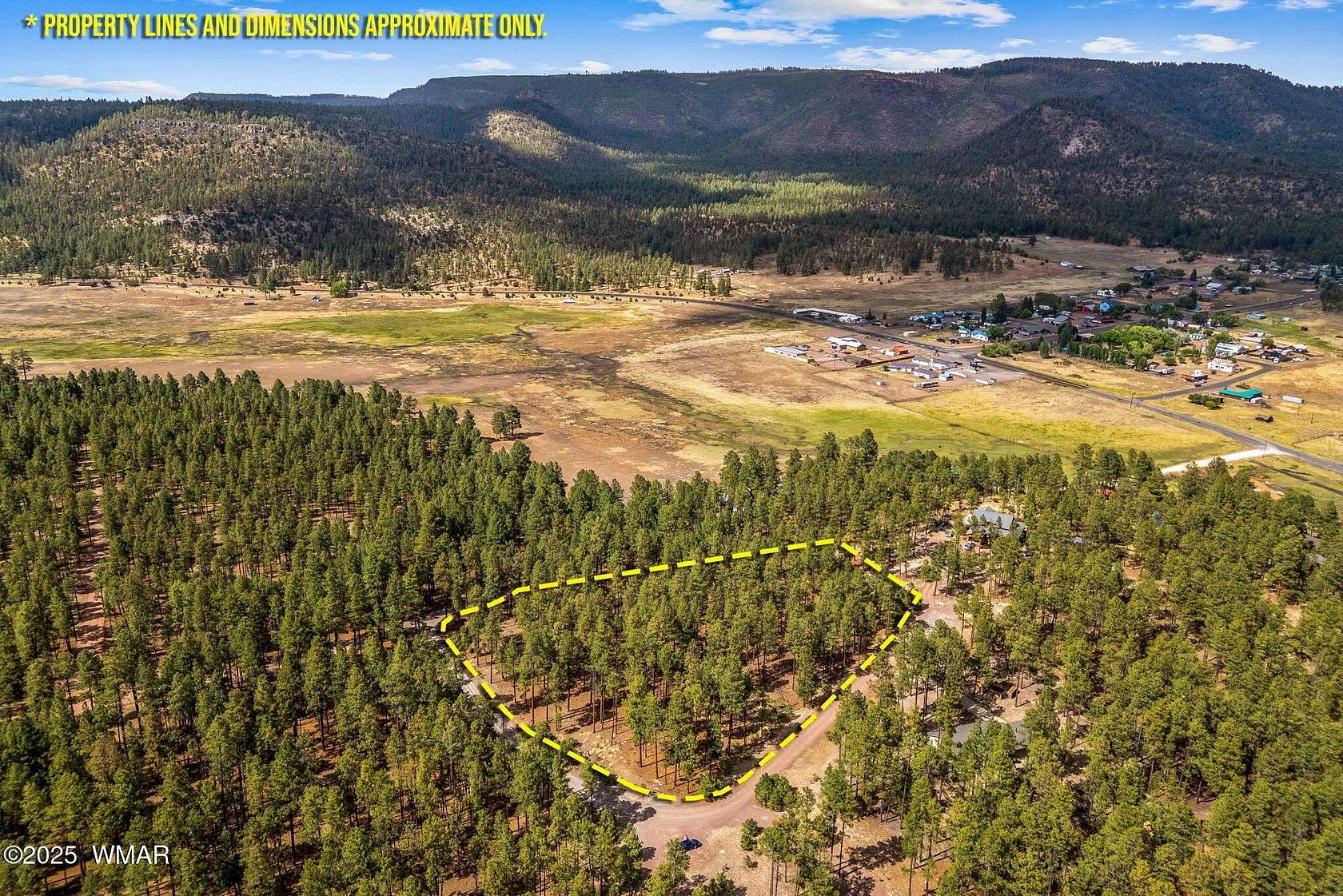 4.82 Acres of Residential Land for Sale in Alpine, Arizona