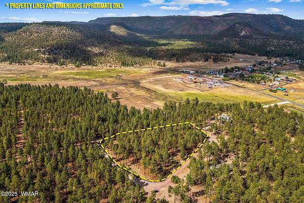 4.82 Acres of Residential Land for Sale in Alpine, Arizona