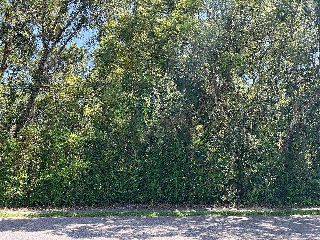 0.43 Acres of Residential Land for Sale in Zellwood, Florida