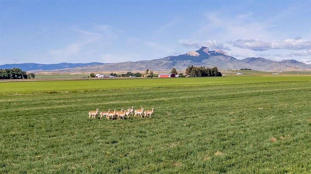 22.2 Acres of Land for Sale in Powell, Wyoming