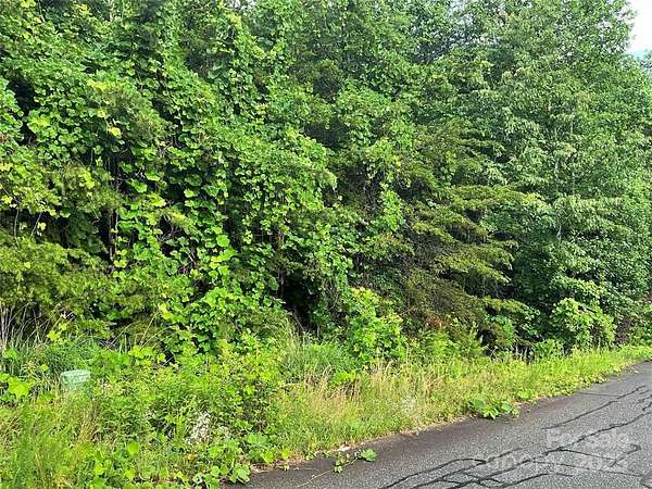 0.58 Acres of Residential Land for Sale in Hickory, North Carolina