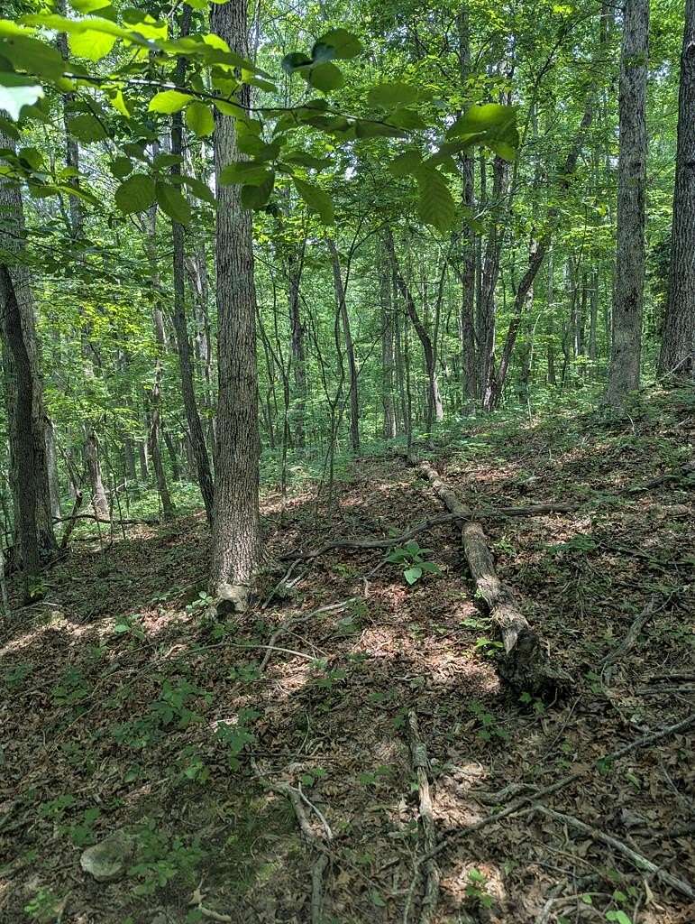 Residential Land for Sale in Monterey, Tennessee