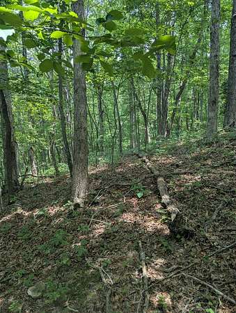 Residential Land for Sale in Monterey, Tennessee