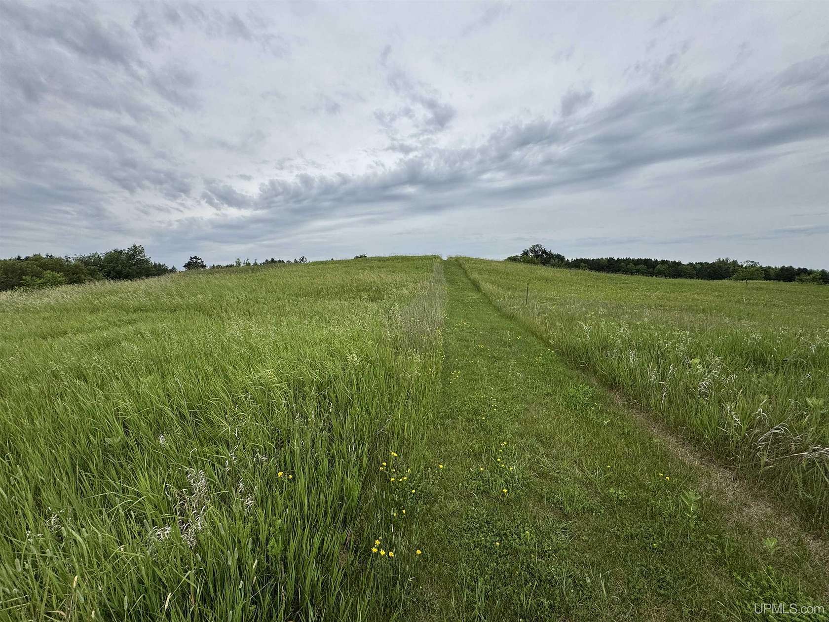 36.2 Acres of Agricultural & Residential Land for Sale in Vulcan, Michigan