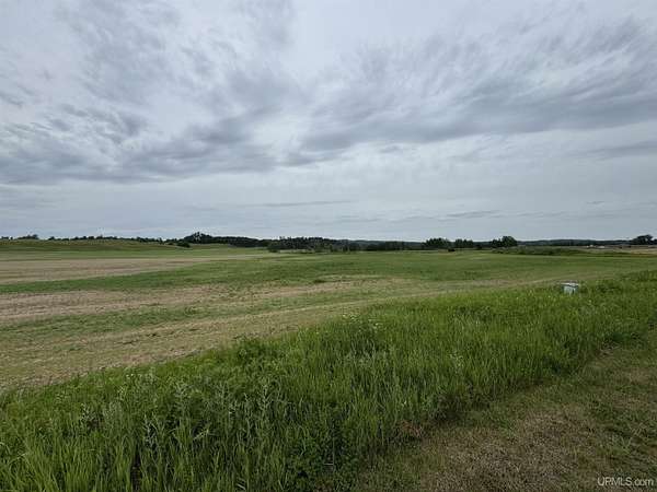 36 2 Acres of Agricultural Land for Sale in Vulcan Michigan LandSearch 36 2 Acres of Agricultural Land for Sale in Vulcan Michigan LandSearch
