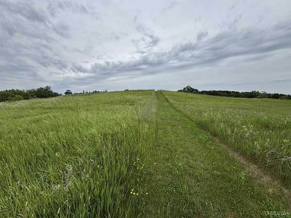 36.2 Acres of Agricultural & Residential Land for Sale in Vulcan, Michigan