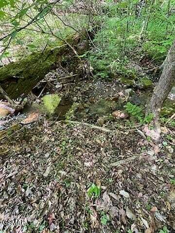 21 Acres of Recreational Land for Sale in Seymour, Tennessee