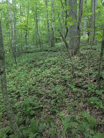 Residential Land for Sale in Monterey, Tennessee