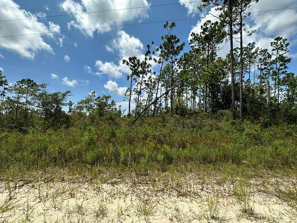 1.5 Acres of Residential Land for Sale in Wewahitchka, Florida