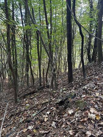 70 Acres of Recreational Land for Sale in Graysville, Tennessee